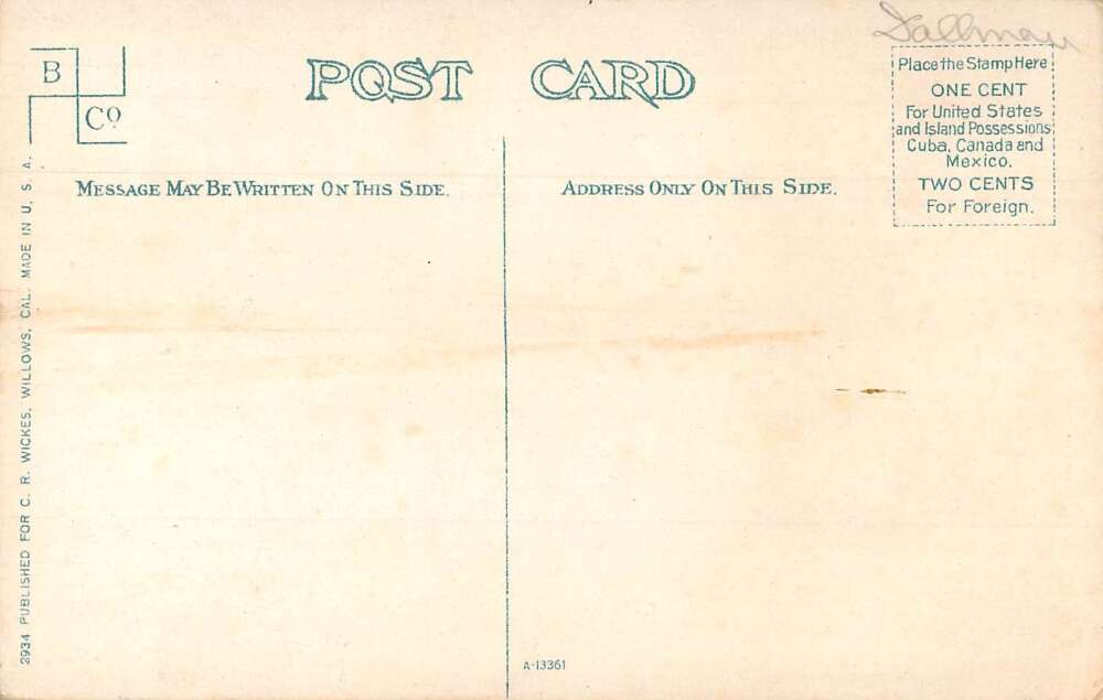 Willows California Sacramento Valley Irrigation Co Vintage Postcard AA55001 - Image 2