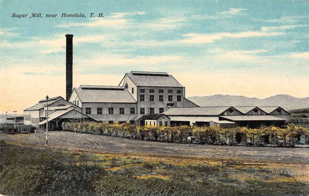Honolulu Hawaii Sugar Mill Factory Vintage Postcard AA55296 Mary L