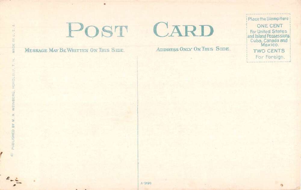 Honolulu Hawaii Sugar Mill Factory Vintage Postcard AA55296 - Image 2