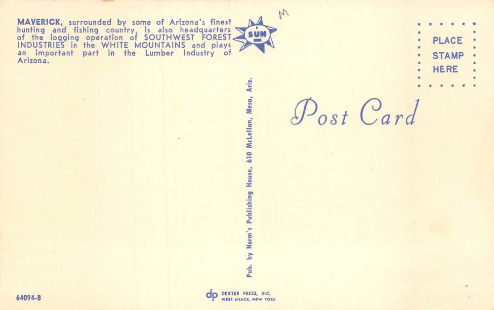 Maverick Arizona General Store Chevron Gas Station Vintage Postcard AA57500 - Image 2