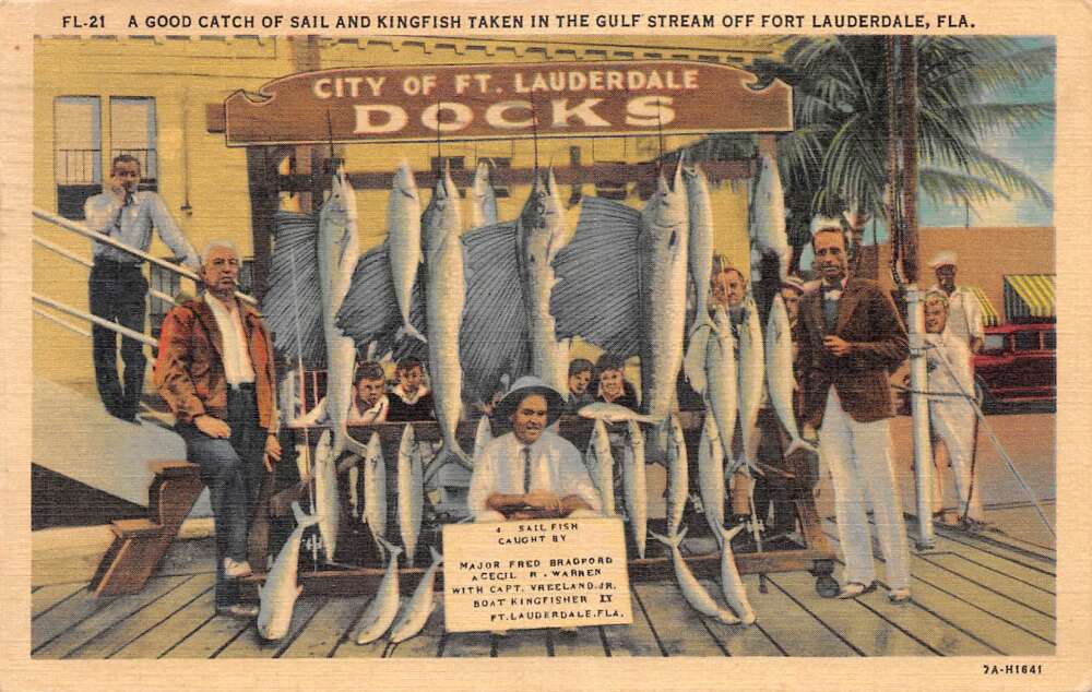 Fort Lauderdale Florida Kingfish Fishing City Docks Vintage Postcard