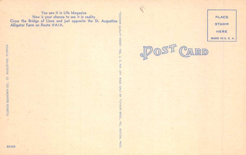 St Augustine Florida Mystery House Al Mosher and Guests Vintage Postcard AA58580 - Image 2