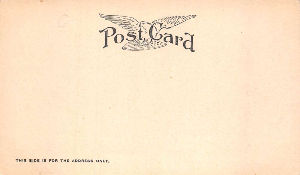 Atlanta Georgia Mules Vintage Postcard AA58979 - Image 2