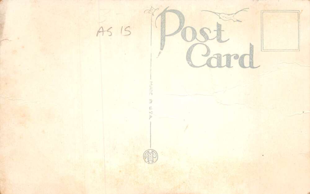 Peru Indiana The American Stationery Co Plant Vintage Postcard AA59035 - Image 2