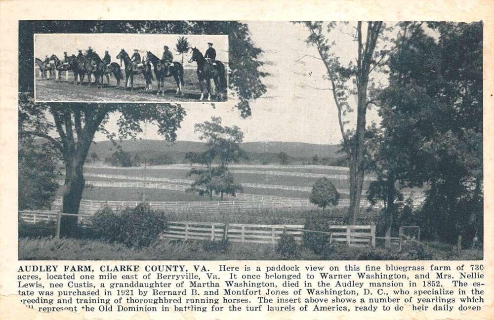 Berryville Virginia Audley Farm Scenic View Vintage Postcard AA60053