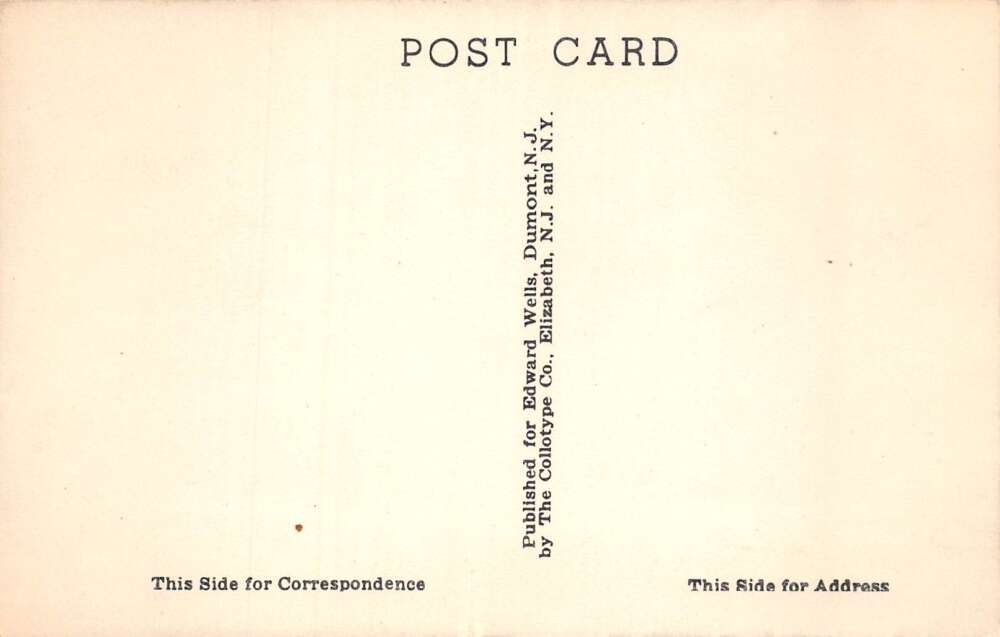 Ashley Falls Massachusetts Pine Acres Cabins Vintage Postcard AA62865 - Image 2