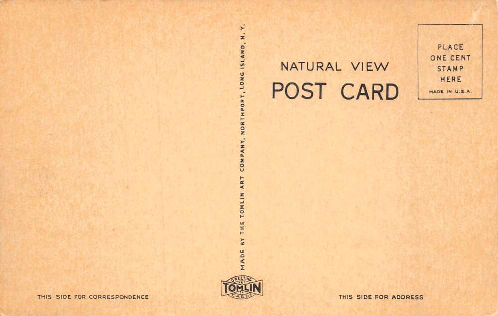 Bellmore Long Island New York Fire Dept and Post Office Vintage