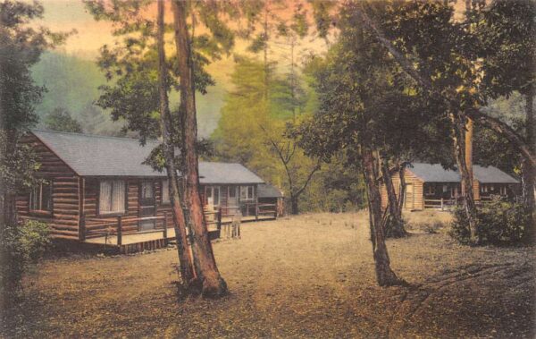 Lilley Redwood Park California Redwood Highway Cabins Hand Colored PC AA63749
