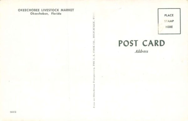 Okeechobee Florida Livestock Market Exterior View Vintage Postcard U20 - Image 2