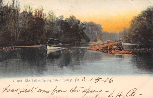 Silver Springs Florida The Boiling Spring Water View Vintage Postcard U22