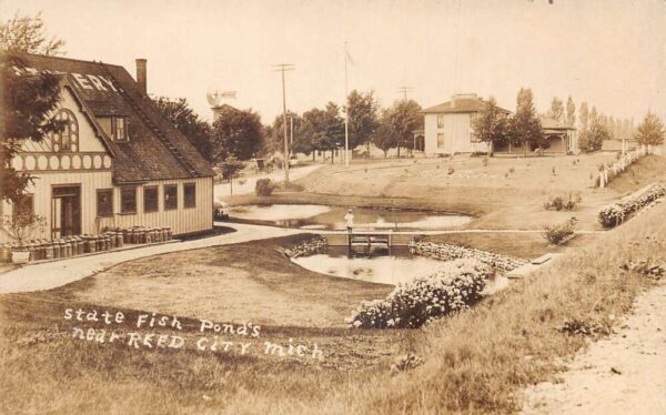 Reed City Michigan State Fish Pond's Real Photo Vintage Postcard AA63889