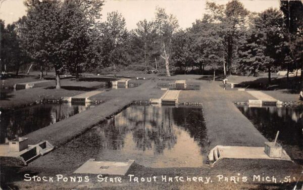 Paris Michigan State Trout Hatchery Stock Ponds Real Photo Postcard AA63891
