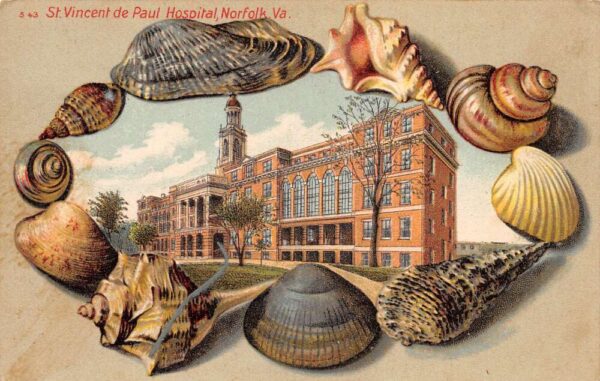 Norfolk Virginia St Vincent de Paul Hospital Sea Shell Boarder Postcard AA63901