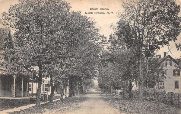 North Branch New York Street Scene Vintage Postcard AA63979