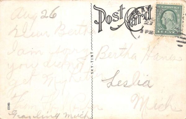 Grayling Michigan Drill at MNG Camp Military Vintage Postcard AA63988 - Image 2