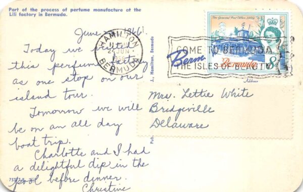 Bermuda Lili Perfume Factory Interior Vintage Postcard AA63990 - Image 2