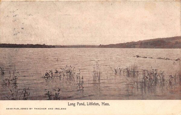 Littleton Massachusetts Long Pond Scenic View Vintage Postcard AA64000