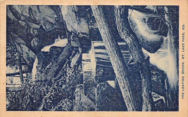 Lake Park Maryland The Leaping Brook Scenic View Vintage Postcard AA64007
