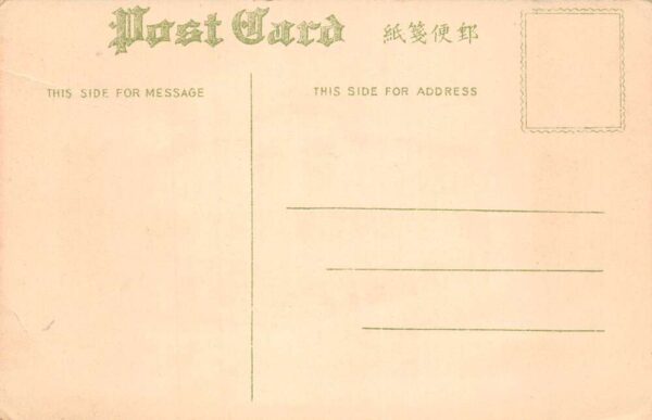 San Francisco California Nanking Fook Who Co Dept Store Vintage Postcard AA64037 - Image 2