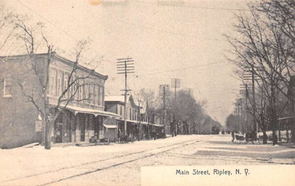 Ripley New York Main Street Vintage Postcard U520