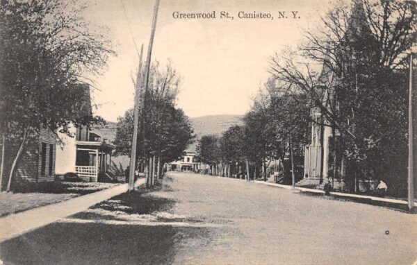 Canisteo New York Greenwood Street Residential Area Vintage Postcard U565