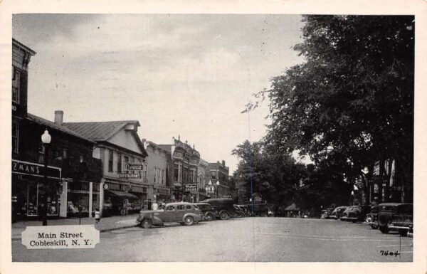 Cobleskill New York Main Street Businesses Vintage Postcard U567