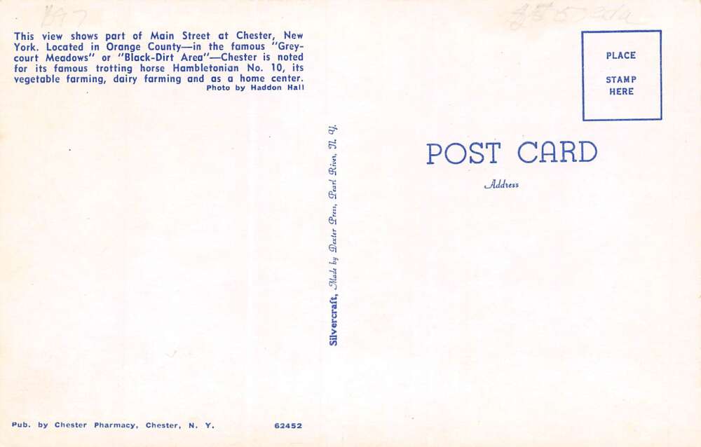 Chester New York Main Street Vintage Postcard U571 - Image 2