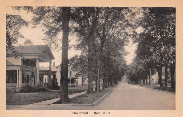 Delhi New York Elm Street Residential Area Vintage Postcard U574