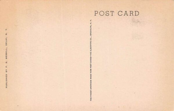 Delhi New York Elm Street Residential Area Vintage Postcard U574 - Image 2