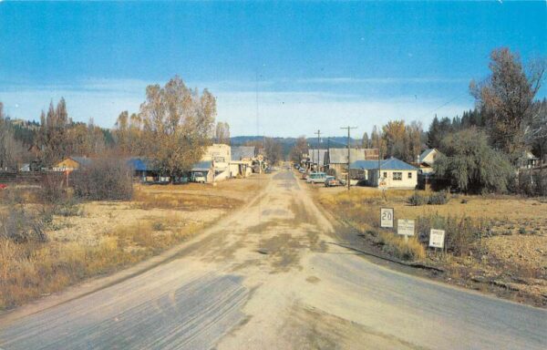Idaho City Idaho Main Street Aerial View Vintage Postcard U639