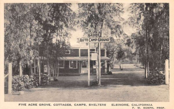 Elsinore California Five Acre Grove Automotive Campground Vintage Postcard U684
