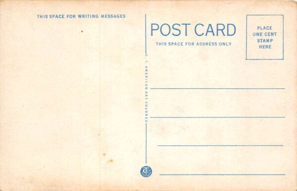 Culpeper Virginia Culpeper Horse Show Vintage Postcard AA64171 - Image 2