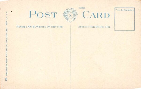 Cleveland Ohio Merry Go Round Ride Luna Park Vintage Postcard U898 - Image 2