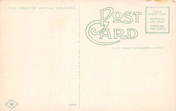 Batavia New York The Hotel Richmond and Main Street Vintage Postcard U910 - Image 2