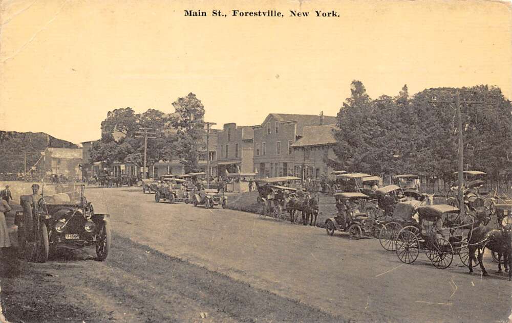 Forestville New York Main Street Vintage Postcard U952 Mary L. Martin