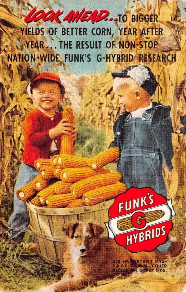 Henderson Kentucky Columbiana Seed Co Corn Adv Vintage Postcard AA64270