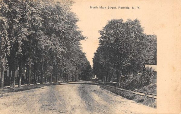 Portville New York North Main Street Tree Lined Street Vintage Postcard U1213