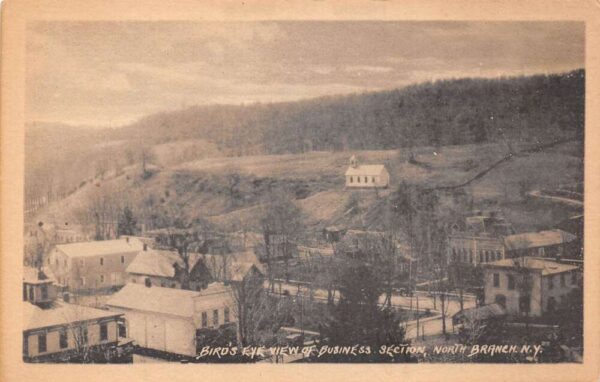 North Branch New York Bird's Eye View of Business Section Vintage Postcard U1220