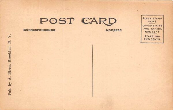 North Branch New York Bird's Eye View of Business Section Vintage Postcard U1220 - Image 2