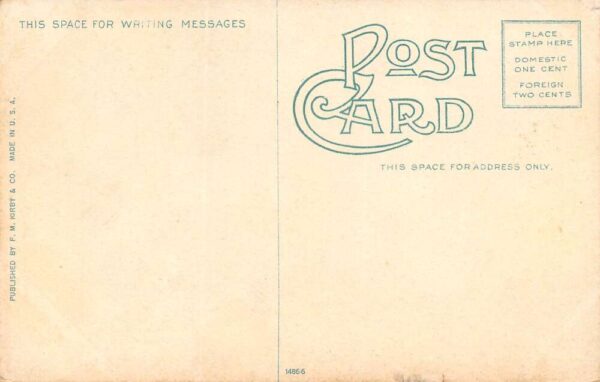 Raleigh North Carolina Hillsboro Street Vintage Postcard U1225 - Image 2