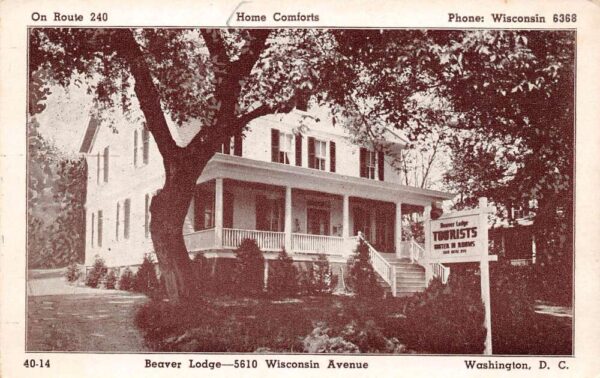 Washington D.C. Beaver Lodge Wisconsin Avenue Vintage Postcard U1280