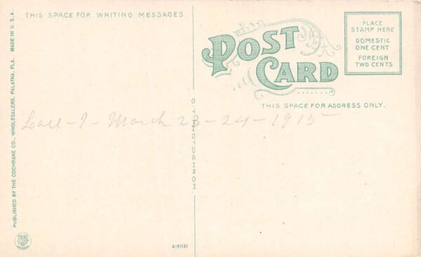 Deland Florida College Arms Hotel View Through the Pines Vintage Postcard U1769 - Image 2