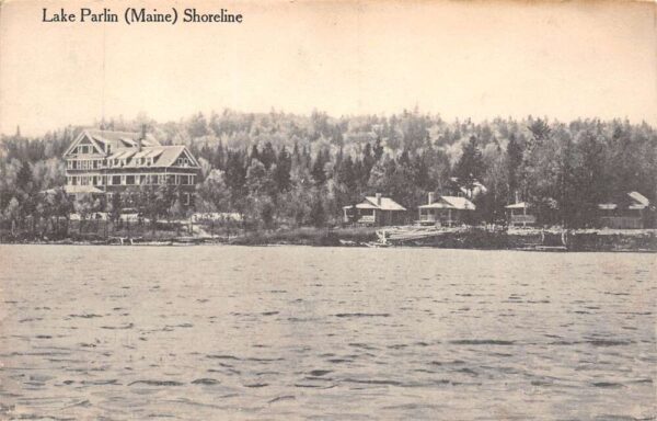 Lake Parlin Maine Lake Parlin Shoreline Sepia Lithograph Vintage Postcard U1773