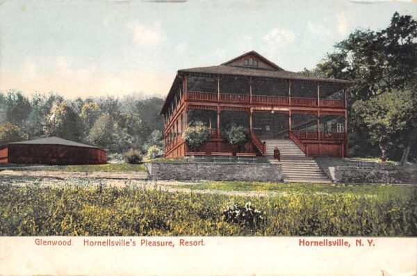 Hornellsville New York Glenwood, Hornellsville's Pleasure Undivided PC U1792