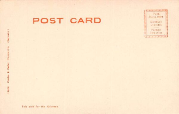 Mt. Lake New York Mt. Lake & Mountain Lake Hotel Undivided Back PC U1799 - Image 2