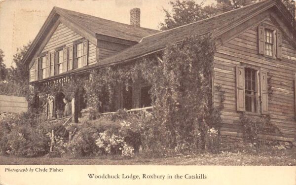 Roxbury New York Woodchuck Lodge Sepia Tone Lithograph Vintage Postcard U1813