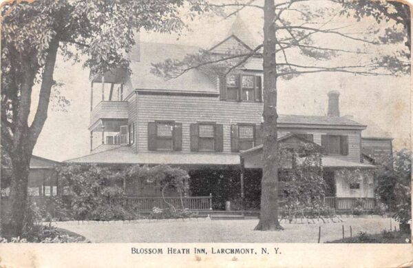 Larchmont New York Blossom Heath Inn B/W Lithograph Vintage Postcard U1816