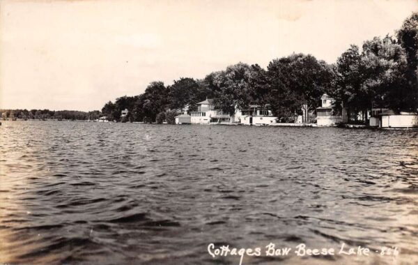 Baw Beese Lake Michigan Cottages Scenic View Real Photo Postcard AA64627