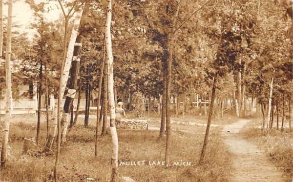 Mullet Lake Michigan Cottages in Woods Real Photo Vintage Postcard AA64633