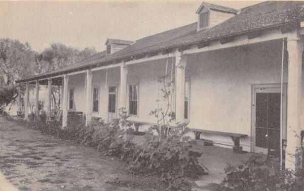 Chico Valley California Buena Vista Rancho B/W Lithograph Vintage Postcard U2075